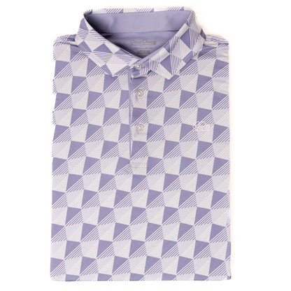 Dynamic Polo