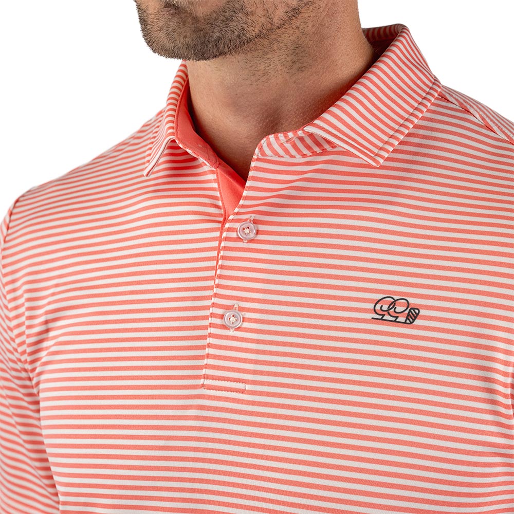 Gila River Polo