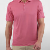 Maxxing Polo